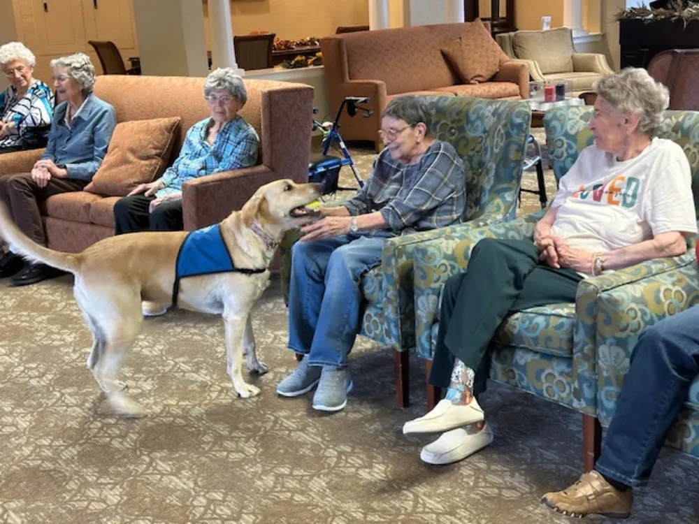 GREENBRIER VILLAGE ASSISTED LIVING photo 4