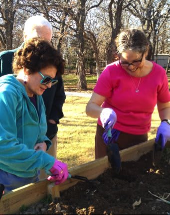 EDEN CARE - OAK TREE photo 7