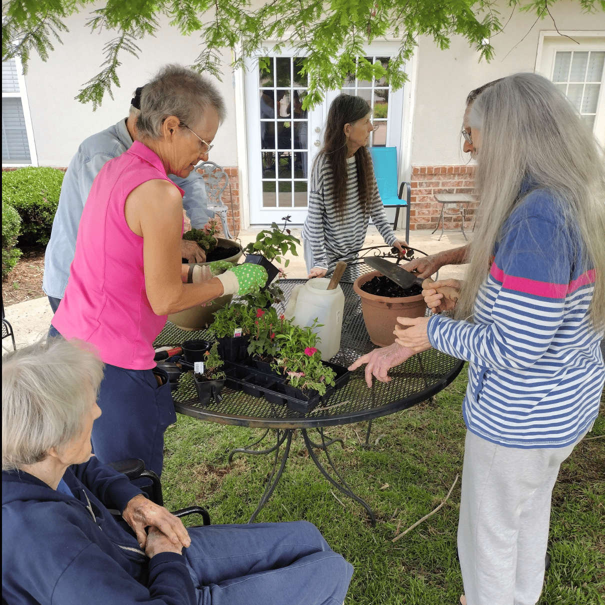 THE COURTYARDS AT THE AMBASSADOR MEMORY CARE & ASSISTED LIVING photo 4
